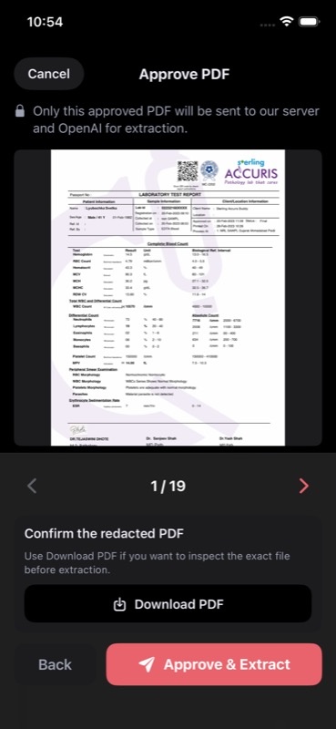 Approve PDF screen with download option before sending for extraction